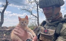  Russian Paratroopers' Pet Kitten 'Gosha' Performs His Own Combat Duties Including Catching Mice
